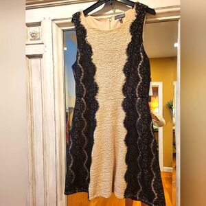 Luxology Gold/Black Lace Trim Flared Dress NWT. SZ 12